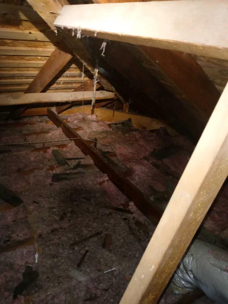 Cellulose Insulation Removal Tampa