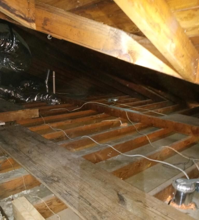 Insulation Removal Tampa
